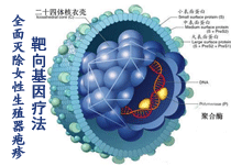 �ί�Ů����ֳ������ę������g�����