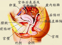 ���ɺ�ҕ����ǻ�װY��