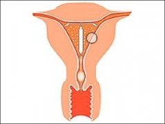 �ľS�B͸�C�ϯ����ί��ӌm��Ĥ���񡰽�˜ʡ�